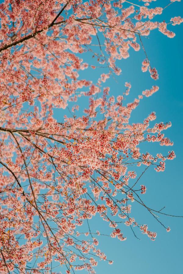 فندق Le Phuong Dalat المظهر الخارجي الصورة