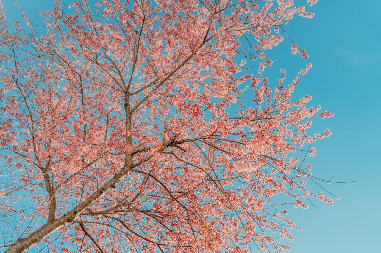 فندق Le Phuong Dalat المظهر الخارجي الصورة